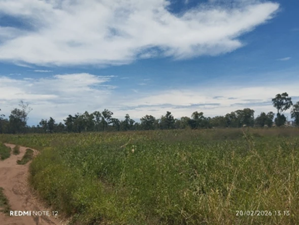 Commercial & Industrial Land