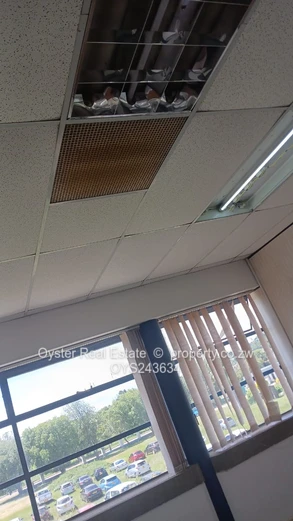 Double Storey building at Mount pleasant Business Park (Sole Mandate)