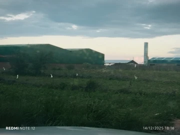 Commercial & Industrial Land