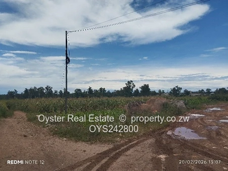 A total of 25,50 hectares with of various pieces of ranging from to 5,863 square metres  to 6 hect