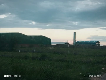 Commercial & Industrial Land