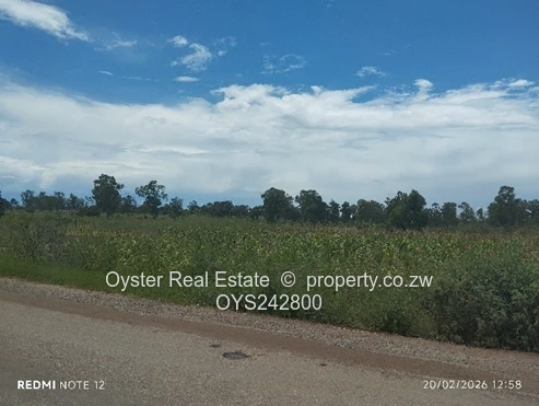 A total of 25,50 hectares with of various pieces of ranging from to 5,863 square metres  to 6 hect